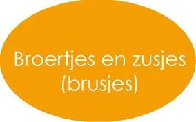 Brusjes lossen alles zelf op omdat hun ouders het al zwaar genoeg hebben