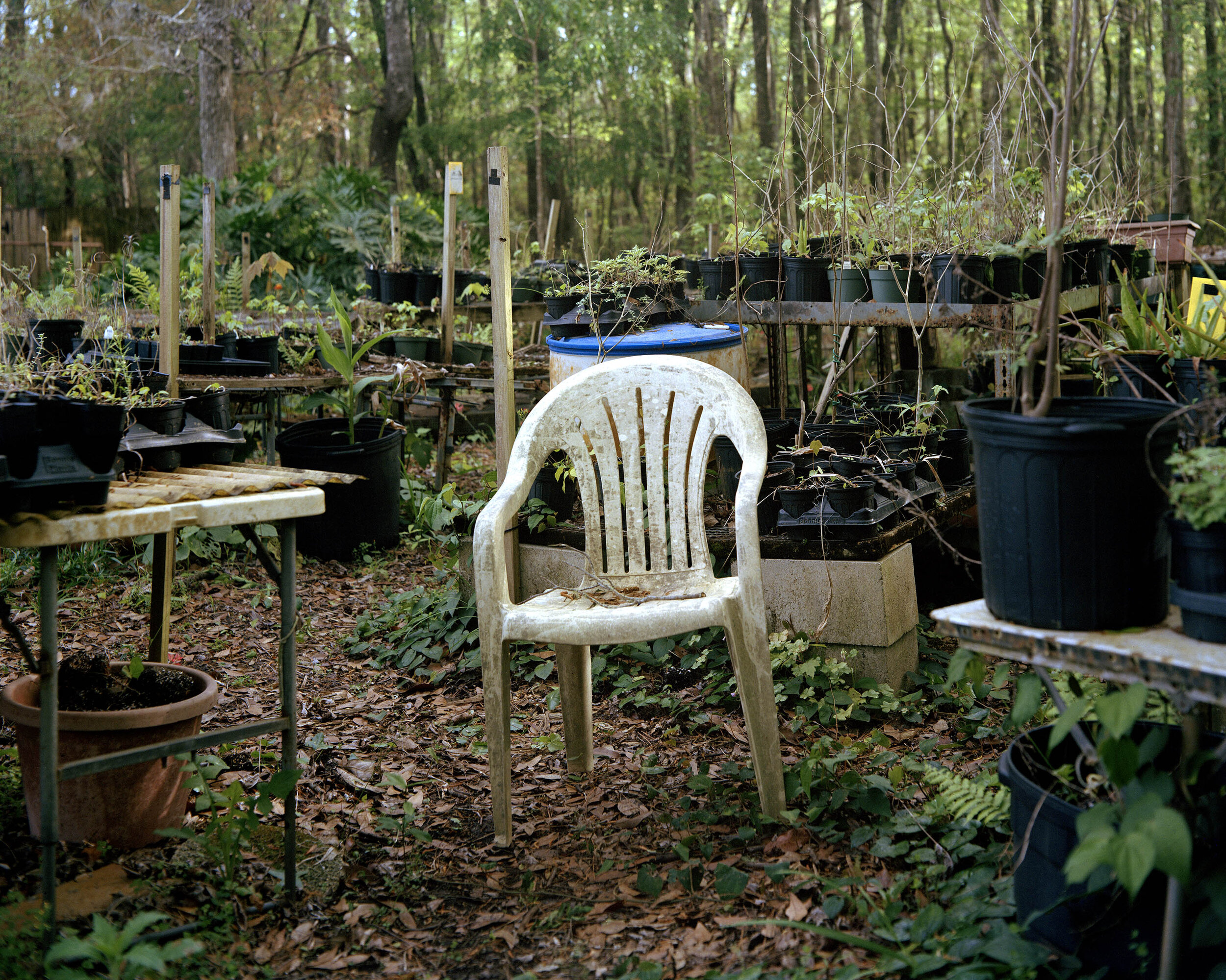 Garden chair, 2021