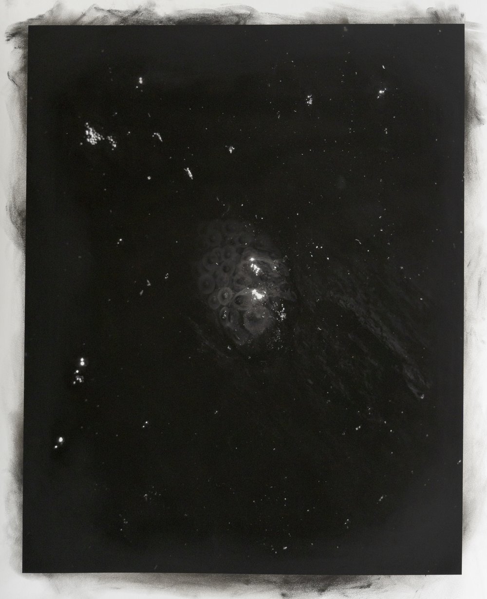  Archival Inkjet Print on Hahnemühle Photo Rag, Charcoal, Pigment  28”x34” 
