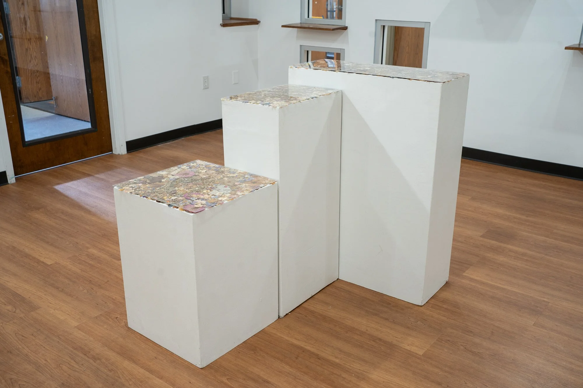 dried flowers, plexiglass, and plinths