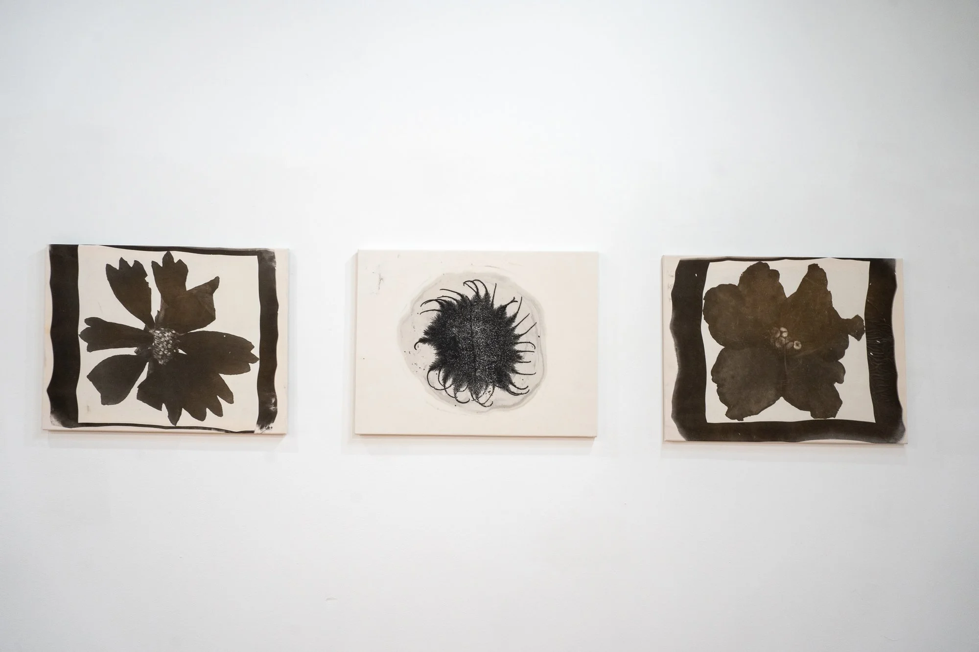platinum prints on silk fabric, 20”x26” each