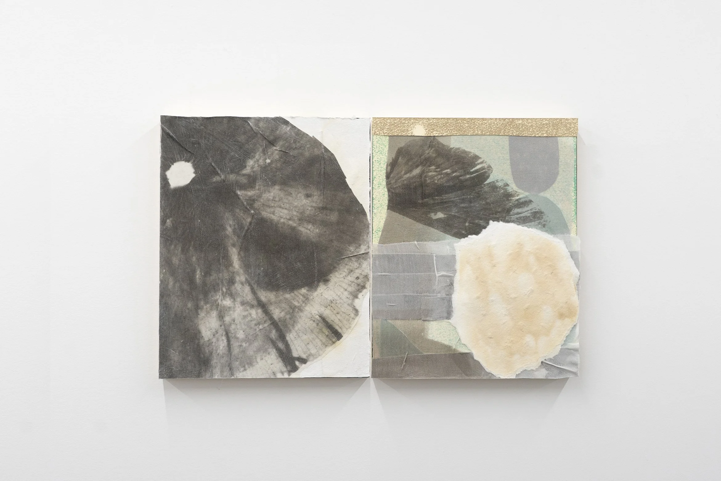 Garden collage (III)