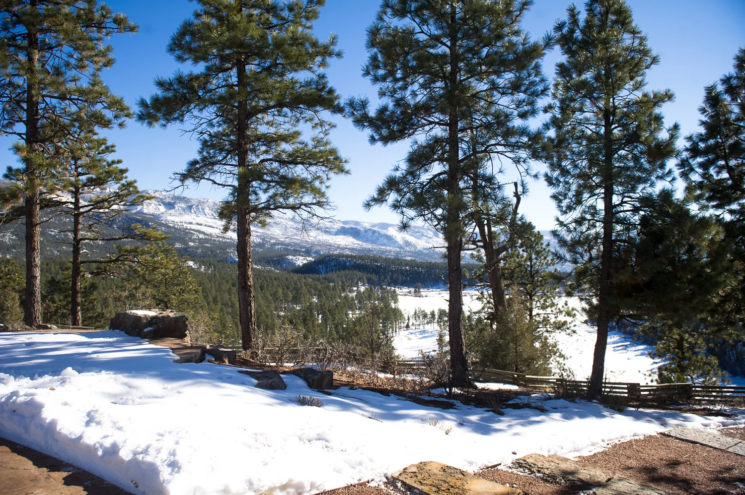 131214_0053.jpg