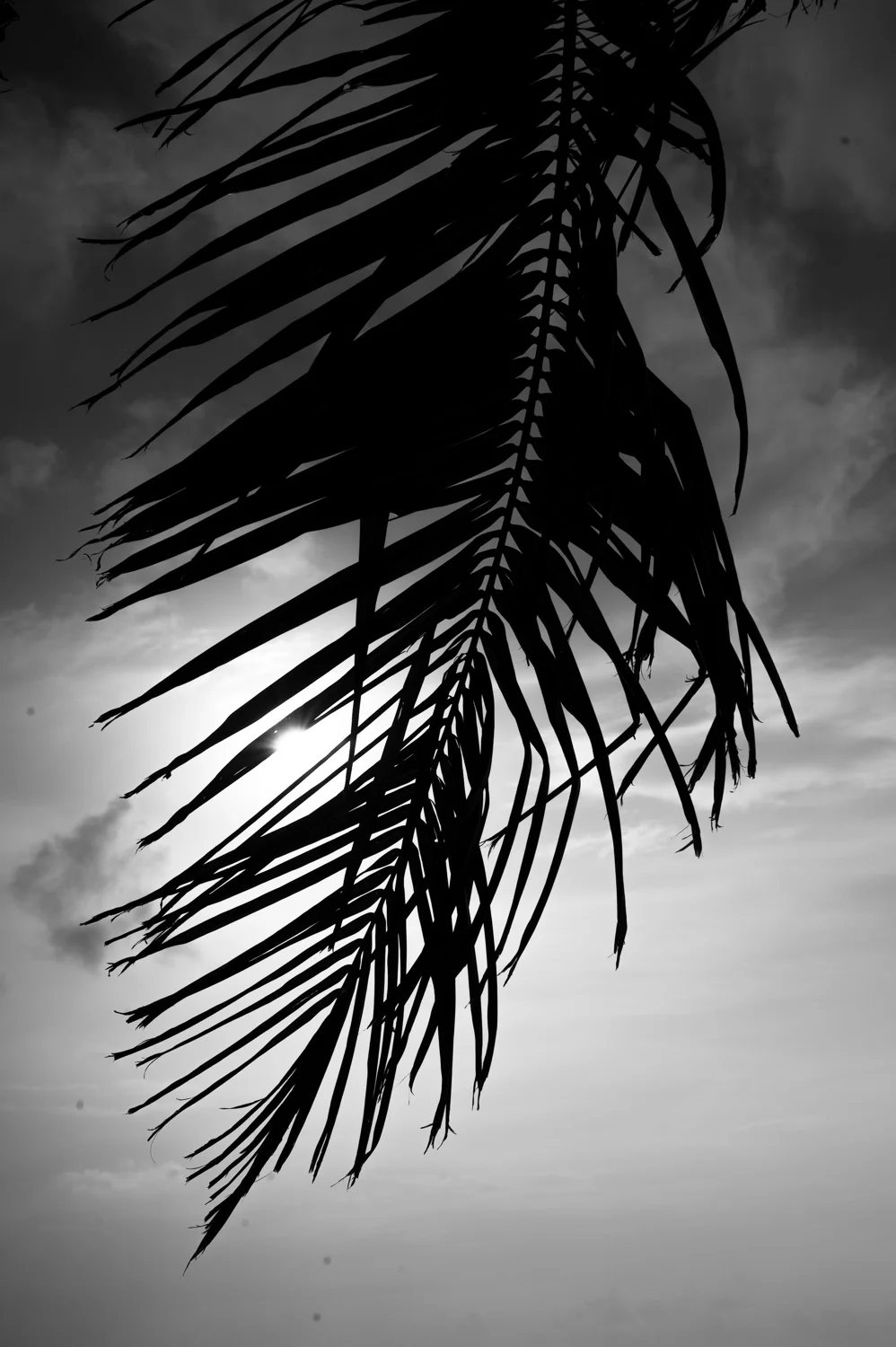 AR_006.jpg