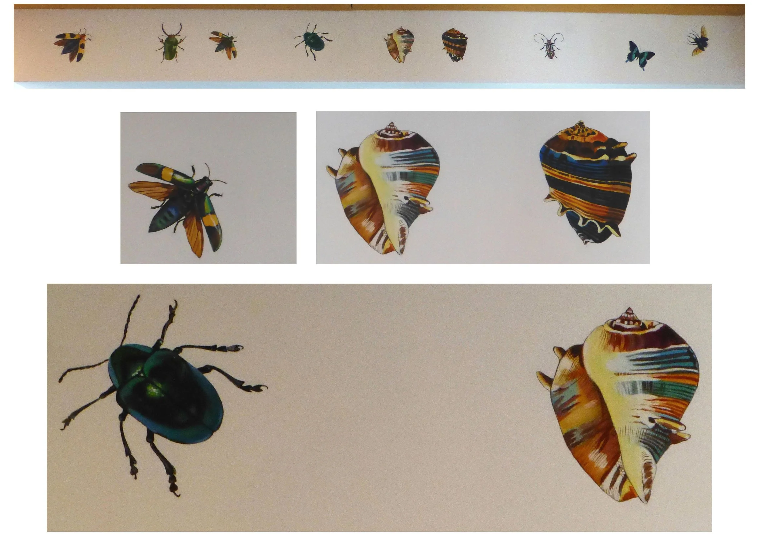 Shells and bugs painted along ceiling adjoining 2 rooms