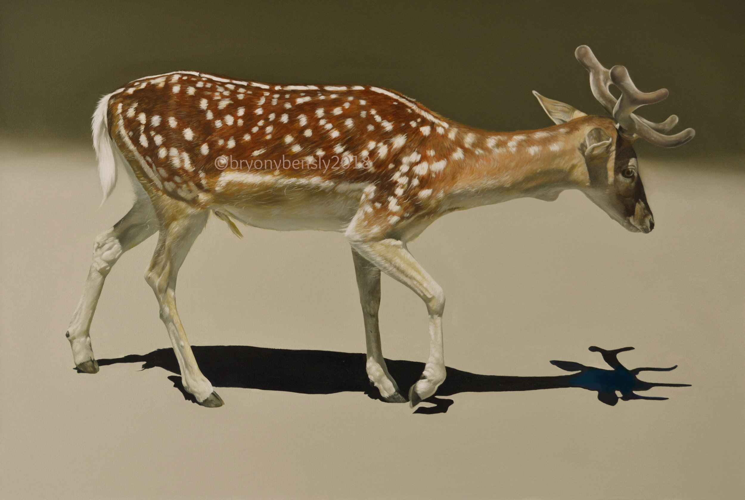 Fallow deer, 24 x 36 inches, oil on canvas