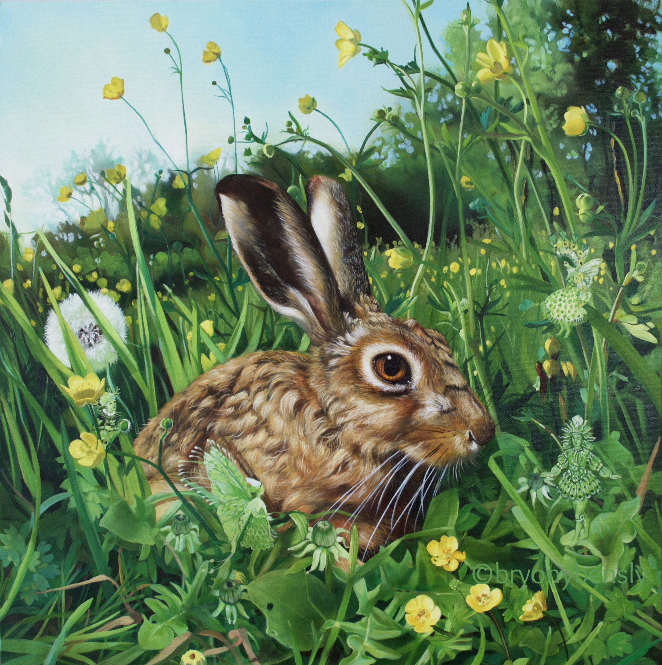 Spring Hare, oil on canvas, 24 x 24"