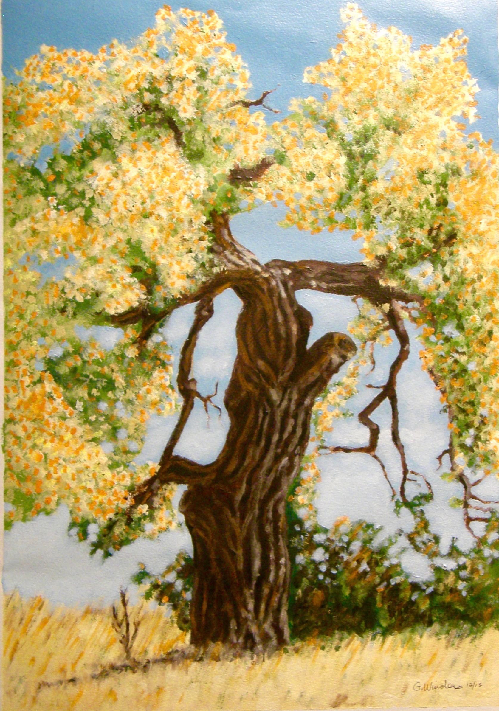 The Hanging Tree, Cerrillos, NM
