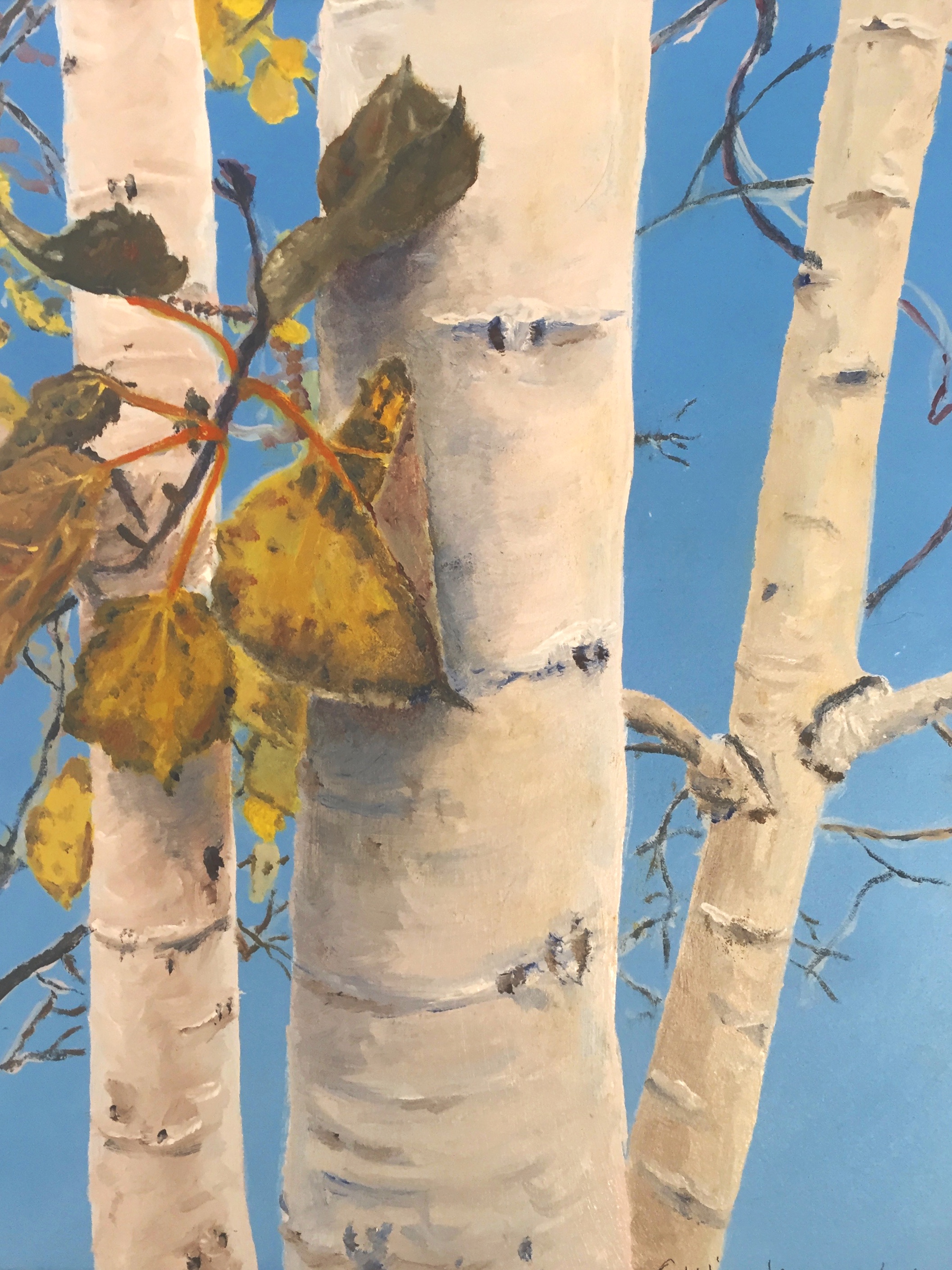“Aspens” Oil on panel. size 10” x 8”. Sold, Private Collection.