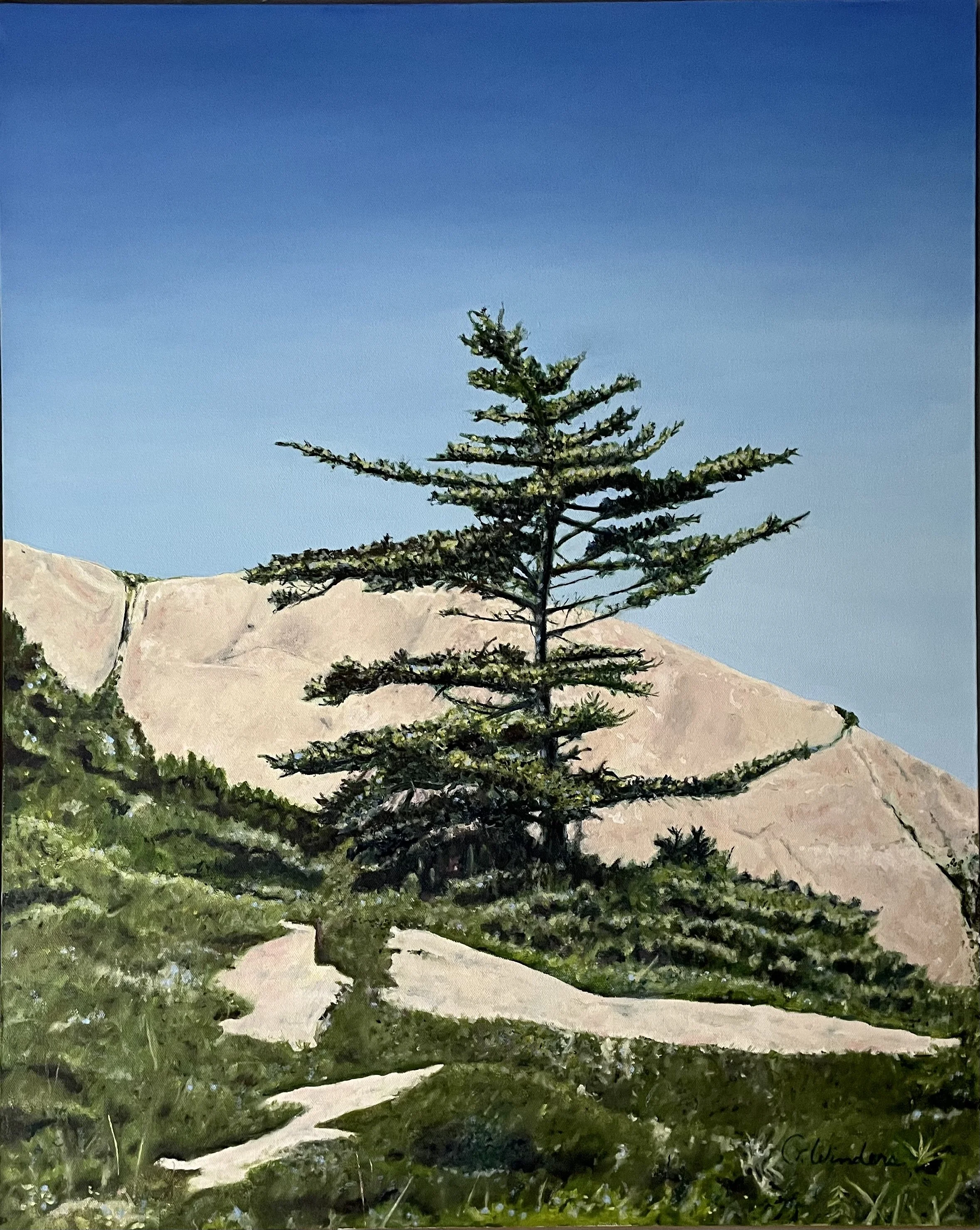 "Sentinel"  Little Moose Island, Acadia National Park. original oil painting