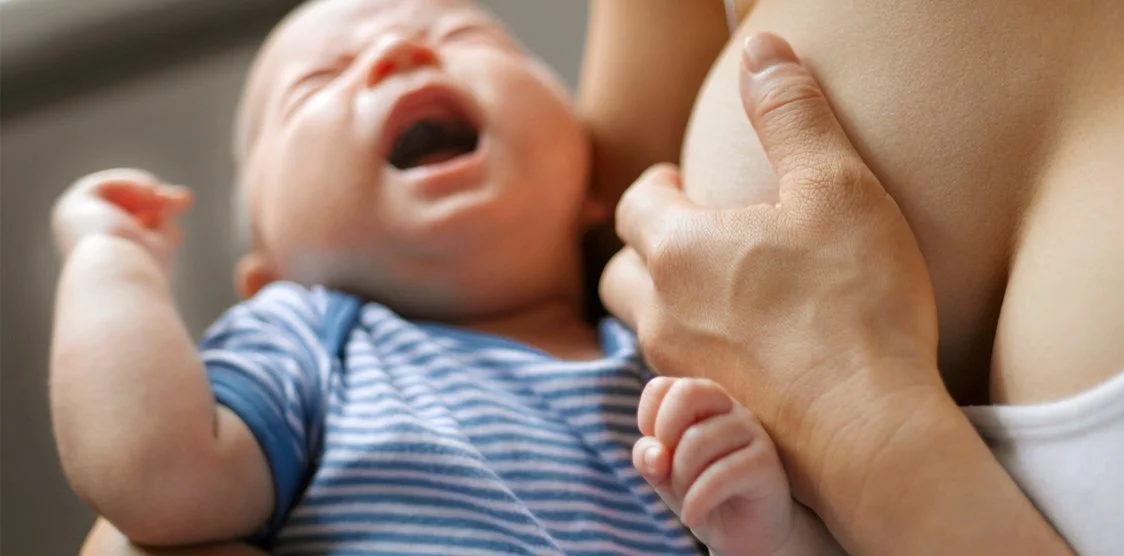 Mastitis 