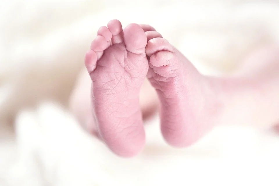 Birth Support with Nellie