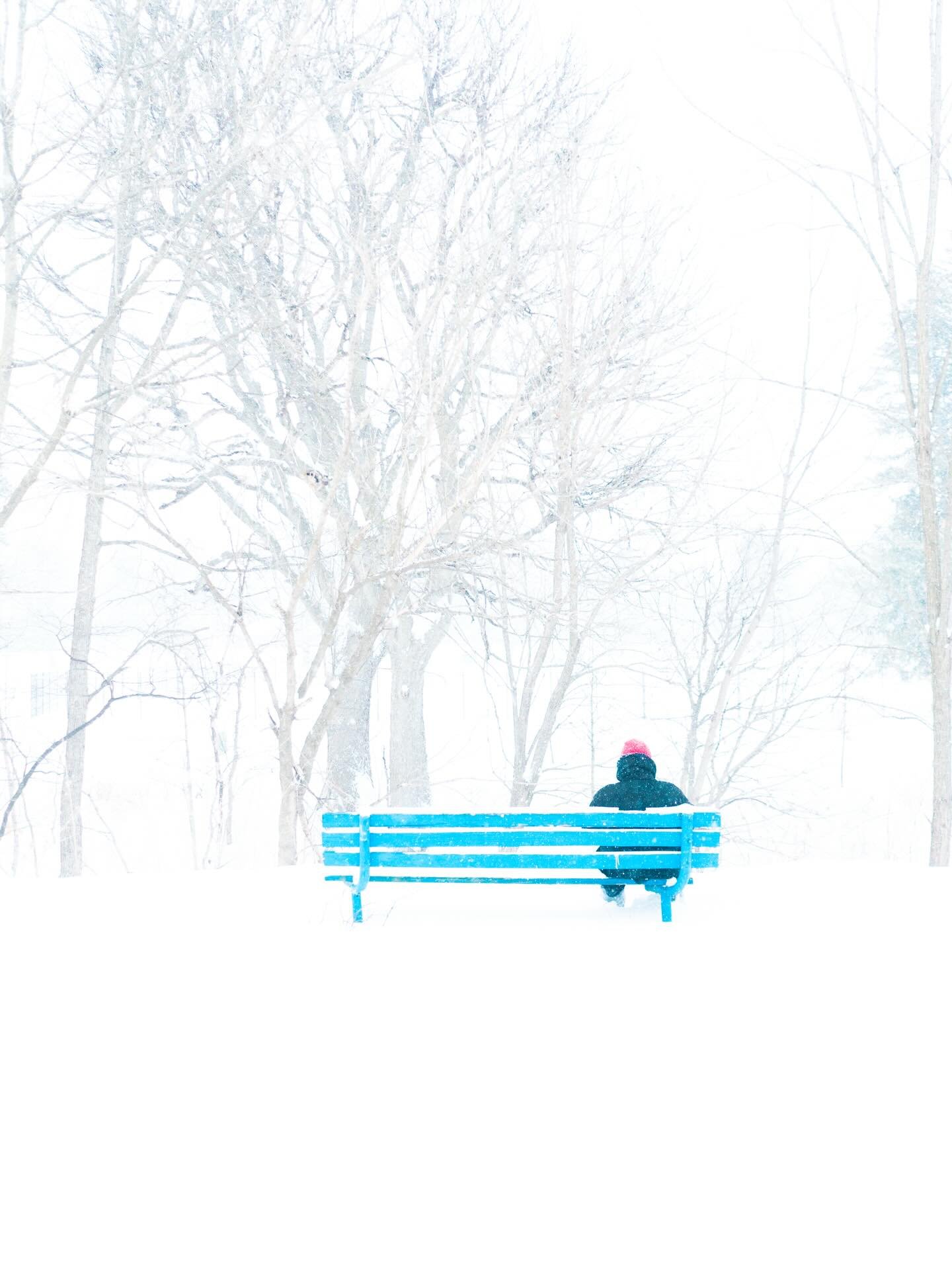 Wintering ☃️🌬️🩵