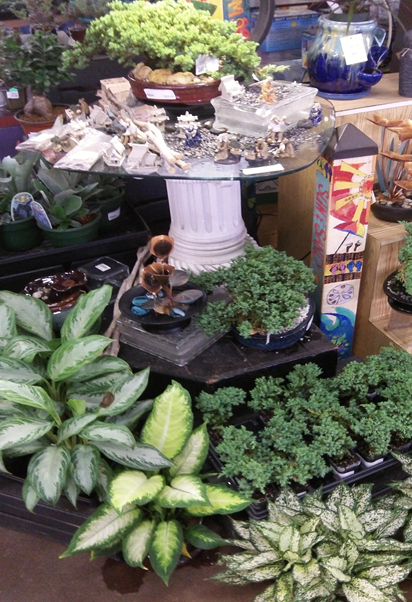 houseplants-succulents-cactus.png