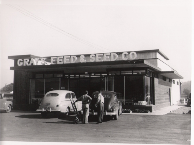 Springfield circa 1950