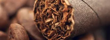 Cigar end.jpg