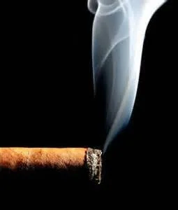 The Ward Boss (6x60)