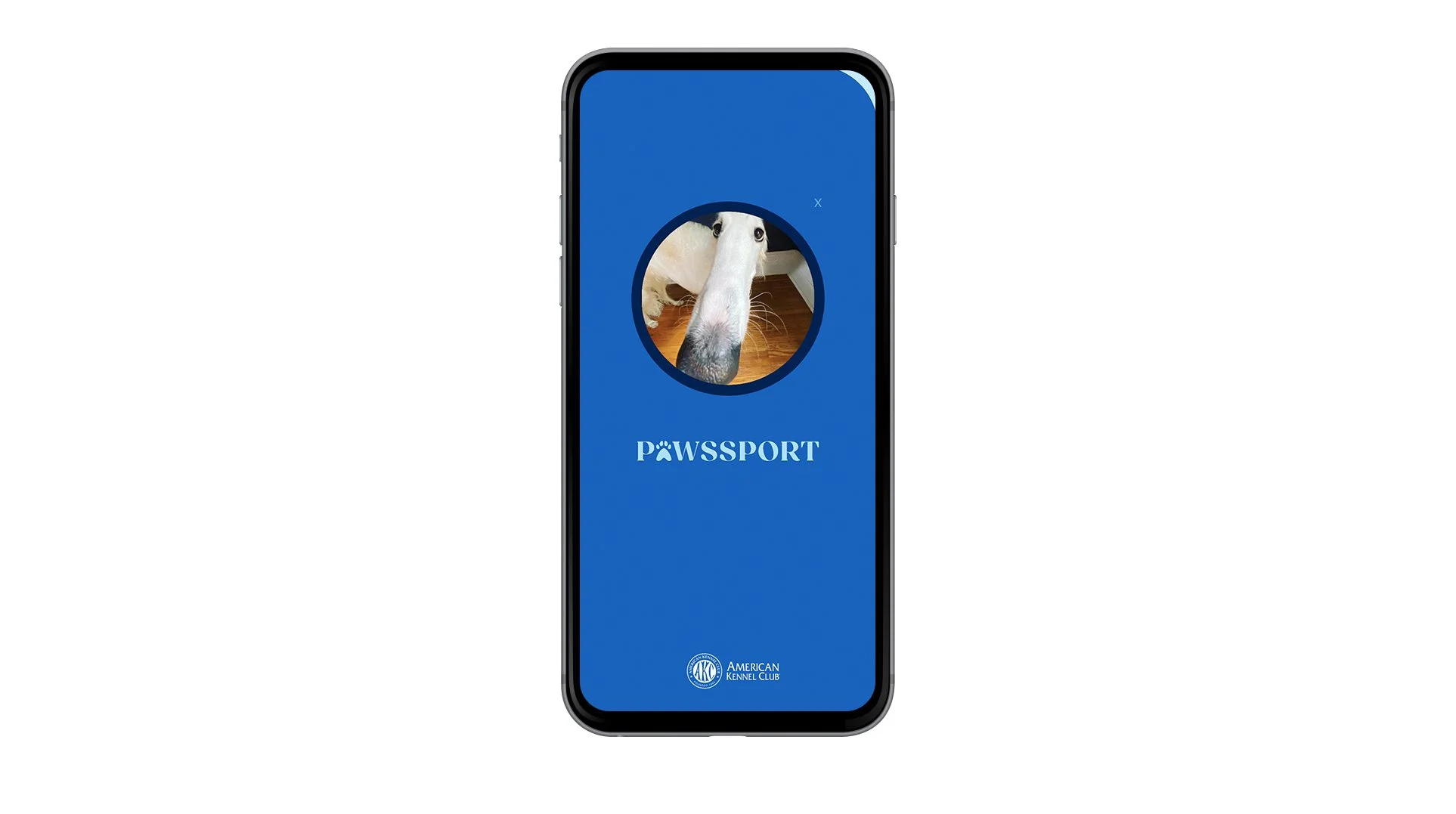    Click to view live prototype      Gen Z, in particular looks to digital communities to create a sense of belonging, with 65% stating they feel more confident using apps with social communities over more traditional feed-centric apps like Instagram