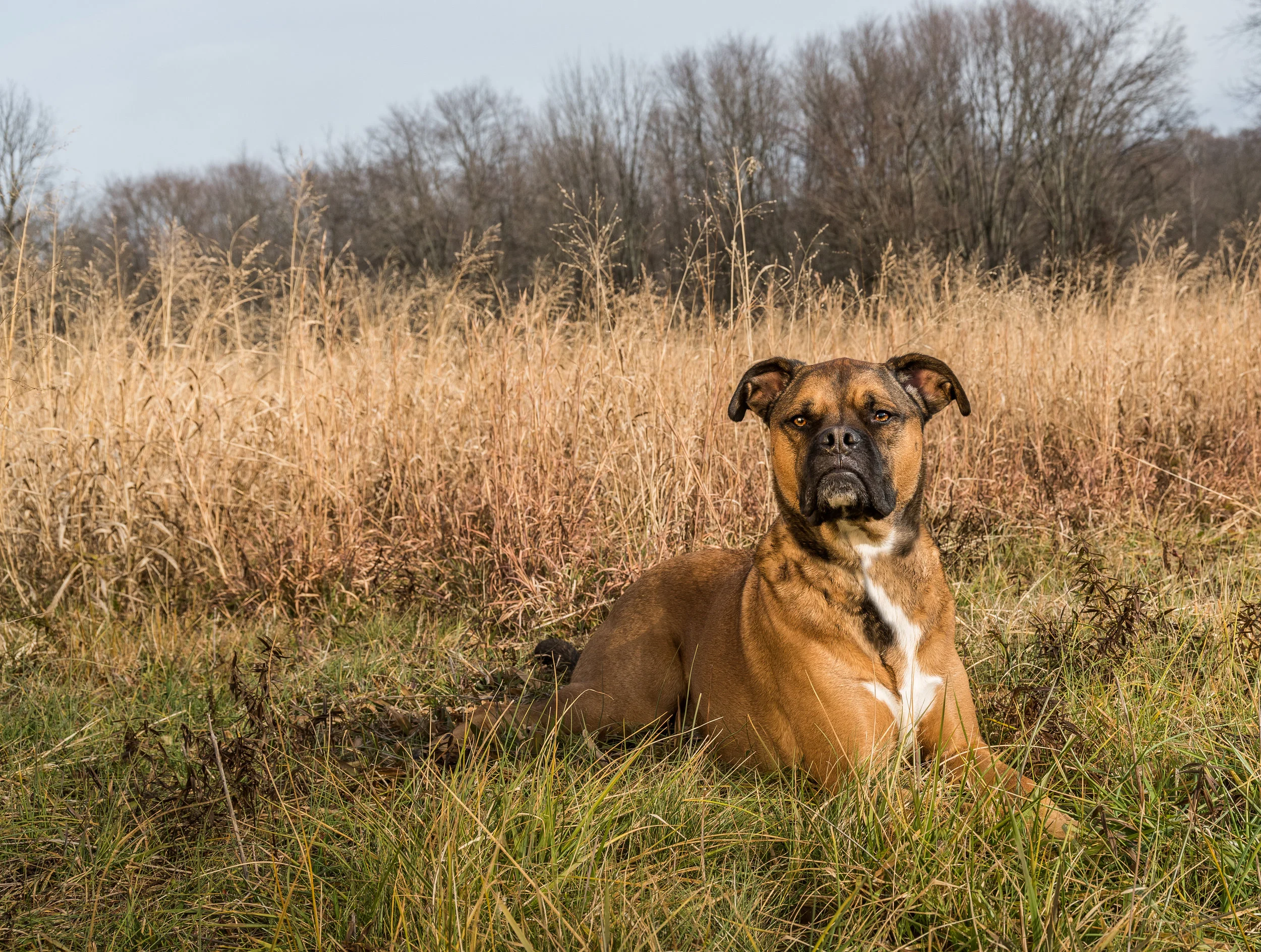 DSC_0289-Edit.jpg