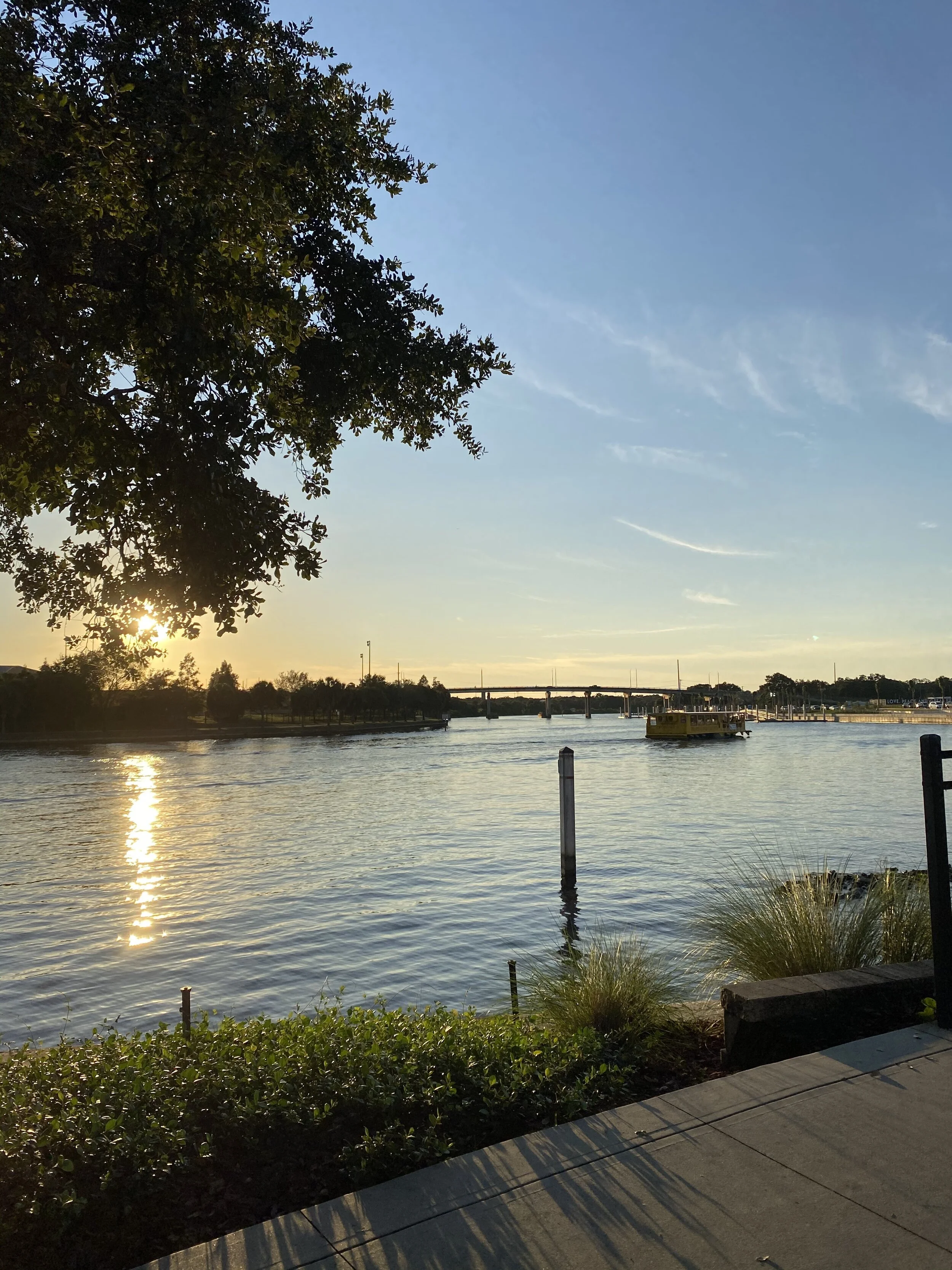 IMG_9188.jpeg