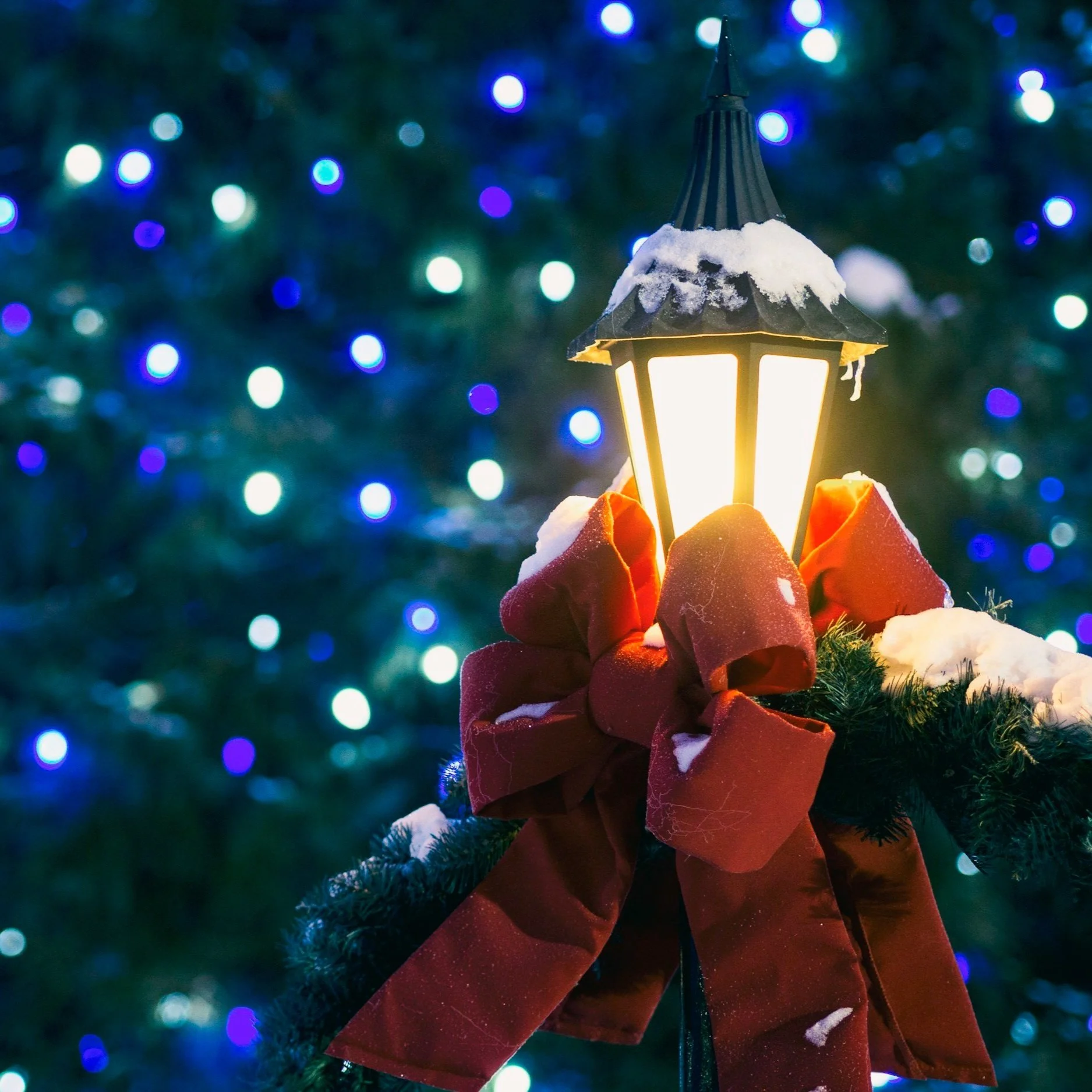 Finding Light in the Shadows of Christmas