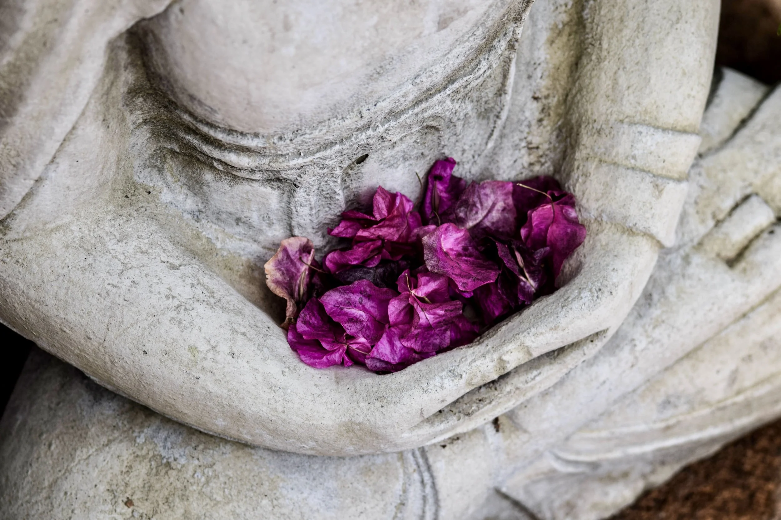 Cultivating Compassion In The Trump Era