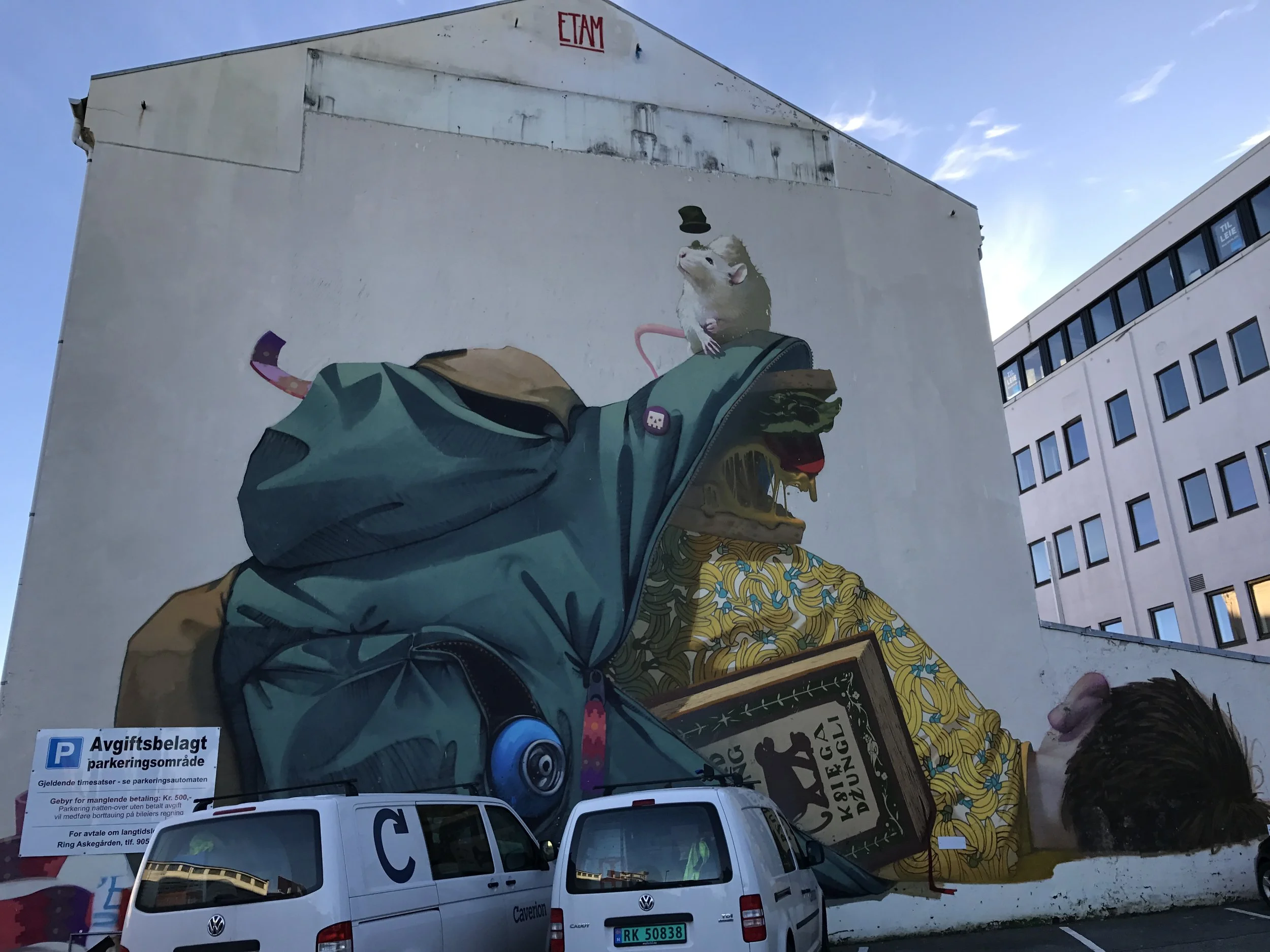 Streetarten ved Askegården er voldsomt dominerende, samtidig som synet forstyrres av parkerte biler .