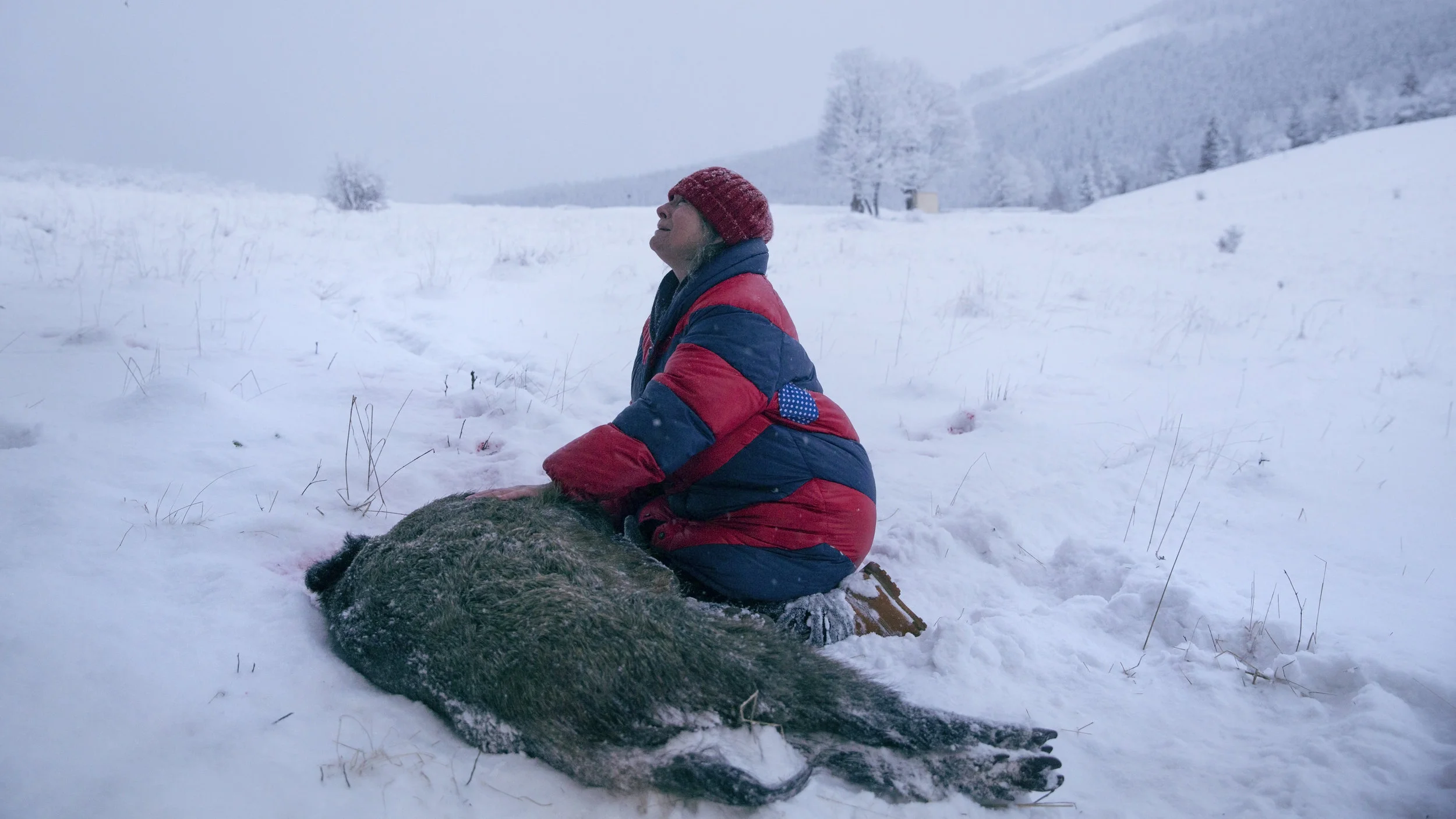 Fru Duszejko (Agnieszka Mandat-Grabka) sørger over hjorten som de brutale jegerne i Klodzko-dalen har felt.