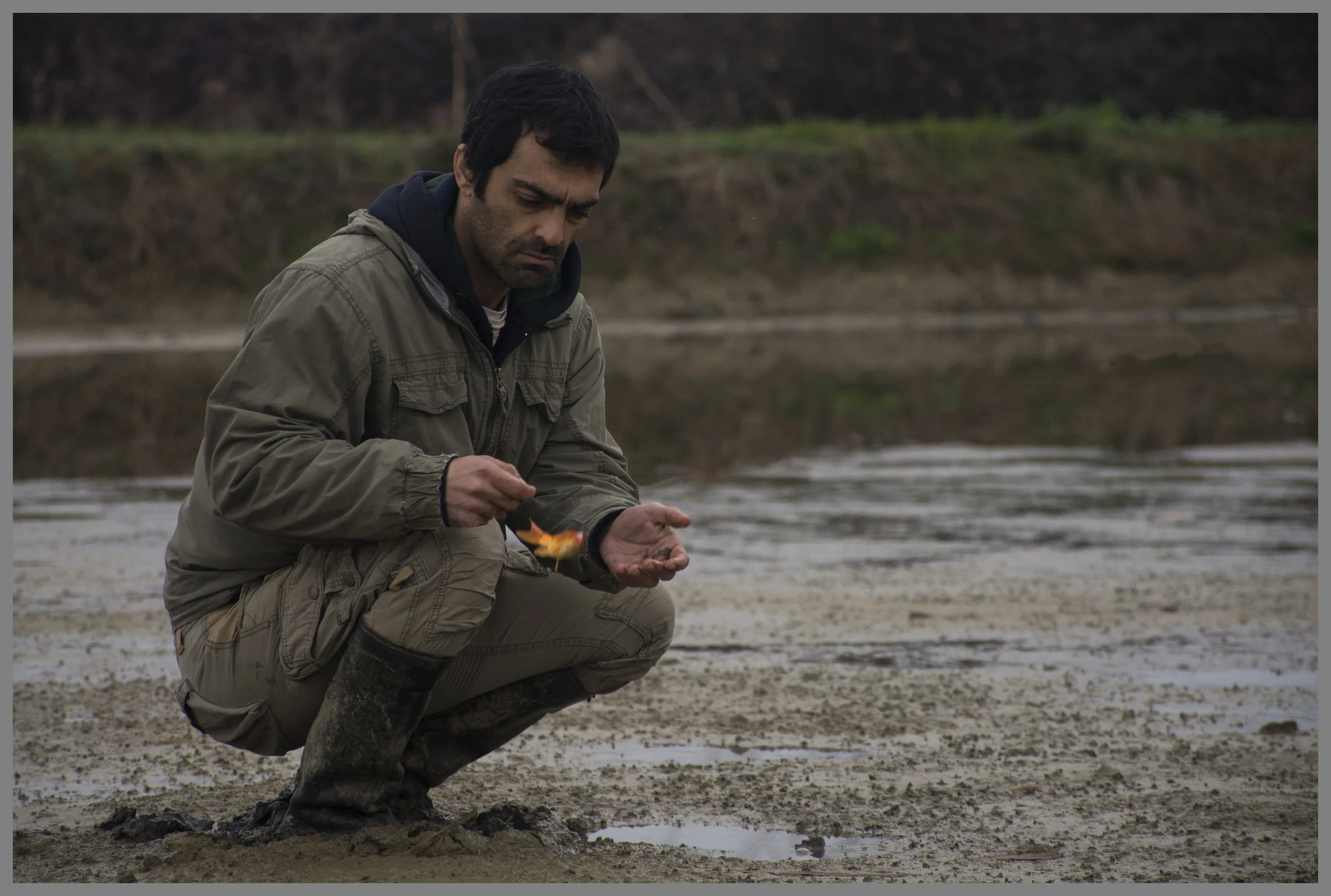 Der de hederlige bukker under