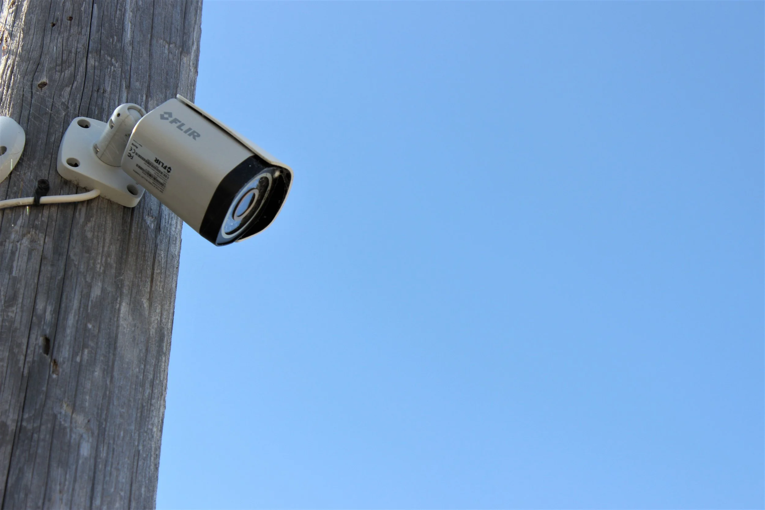 Camera on pole 3.JPG