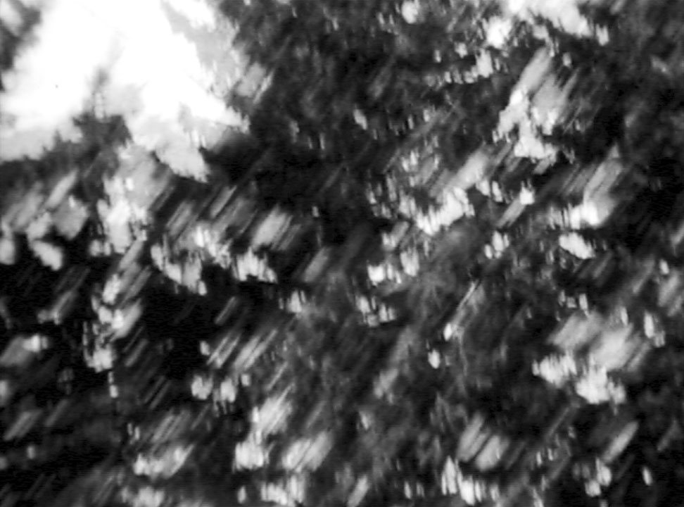 four_vignettes_01.jpg