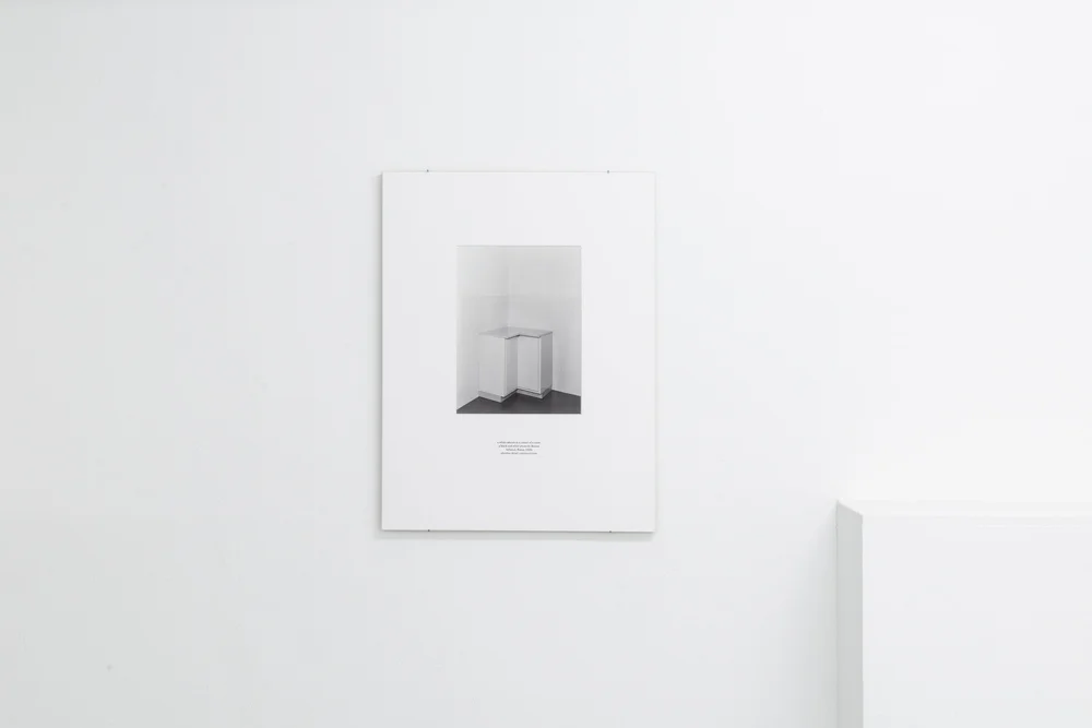 Serien Corpus (2023) und Surrogat (2025): Installationsansicht Metamorphosis, 2025, kjubh Kunstverein