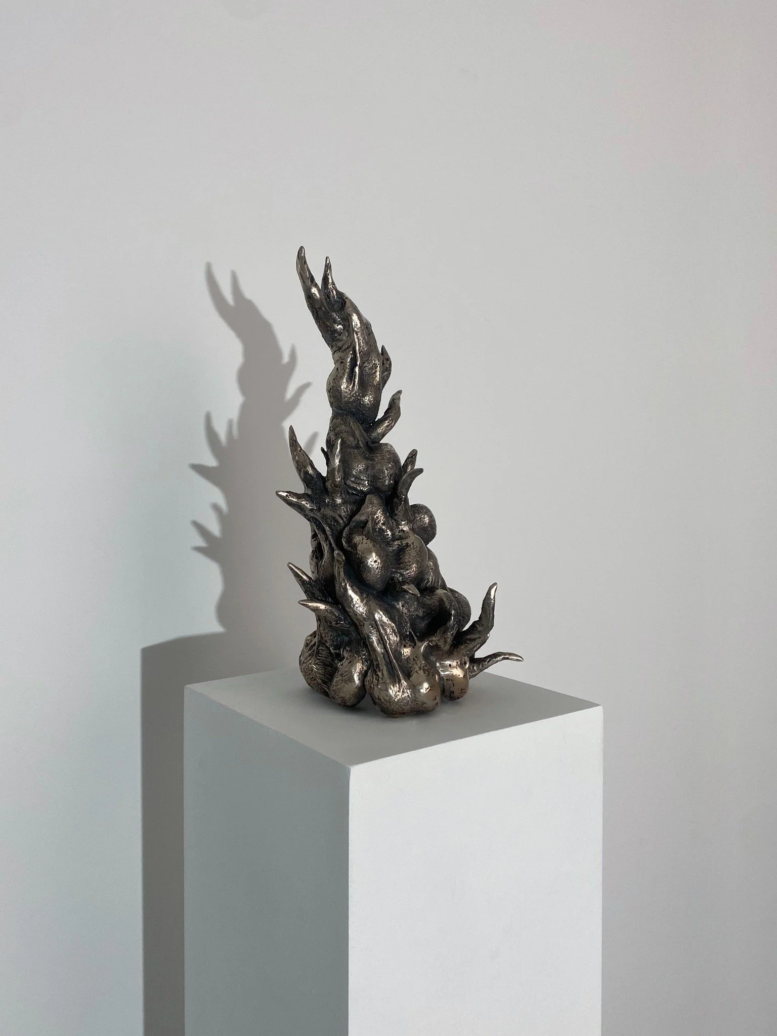 Alina Kleytman: Growing the Crown, 2026, Courtesy of Gunia Nowik Gallery / Mit freundlicher Genehmigung von Gunia Nowik Gallery