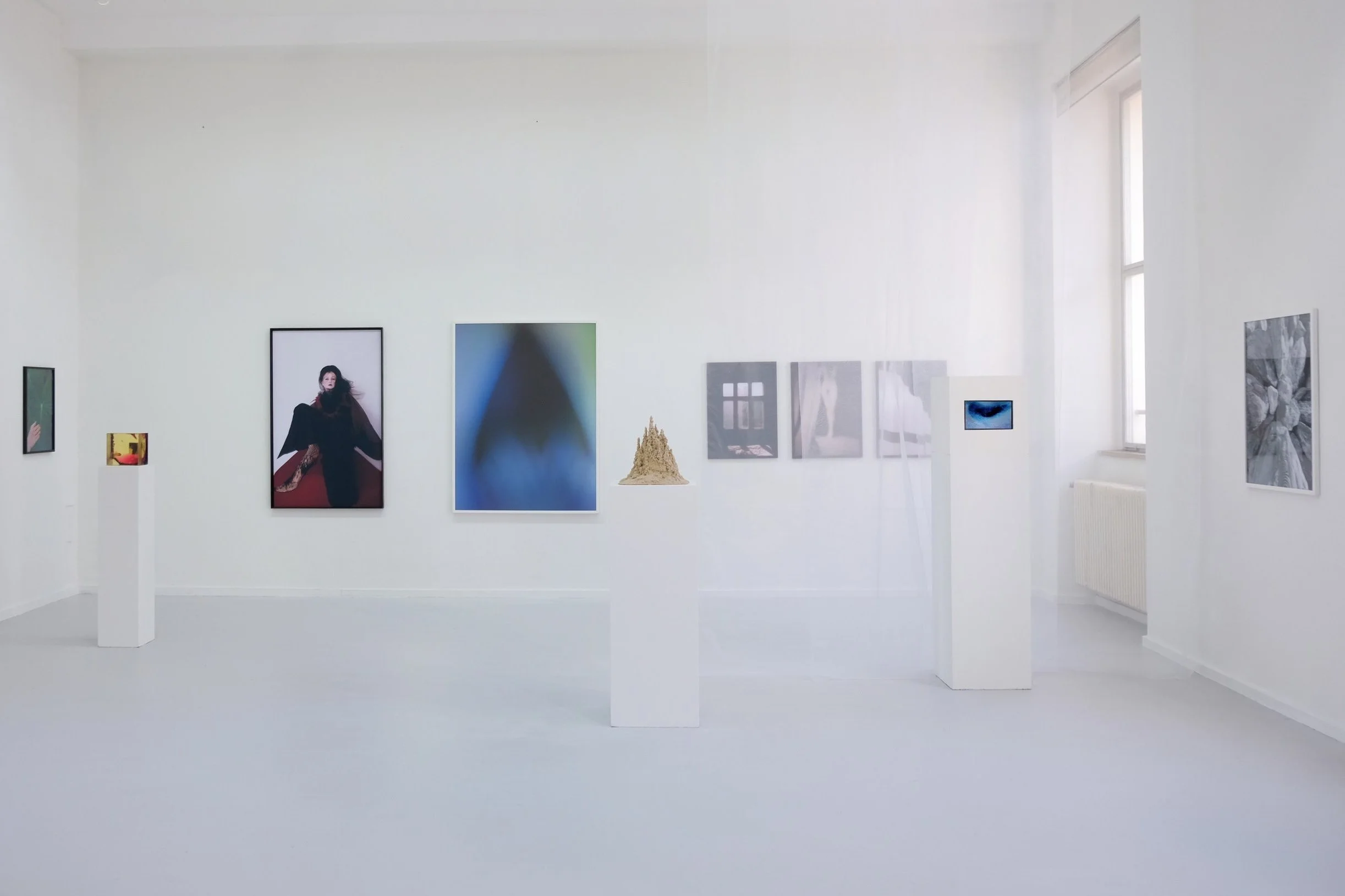 Symphonie von Licht und Schatten – Moment von Ana Daniela Koch