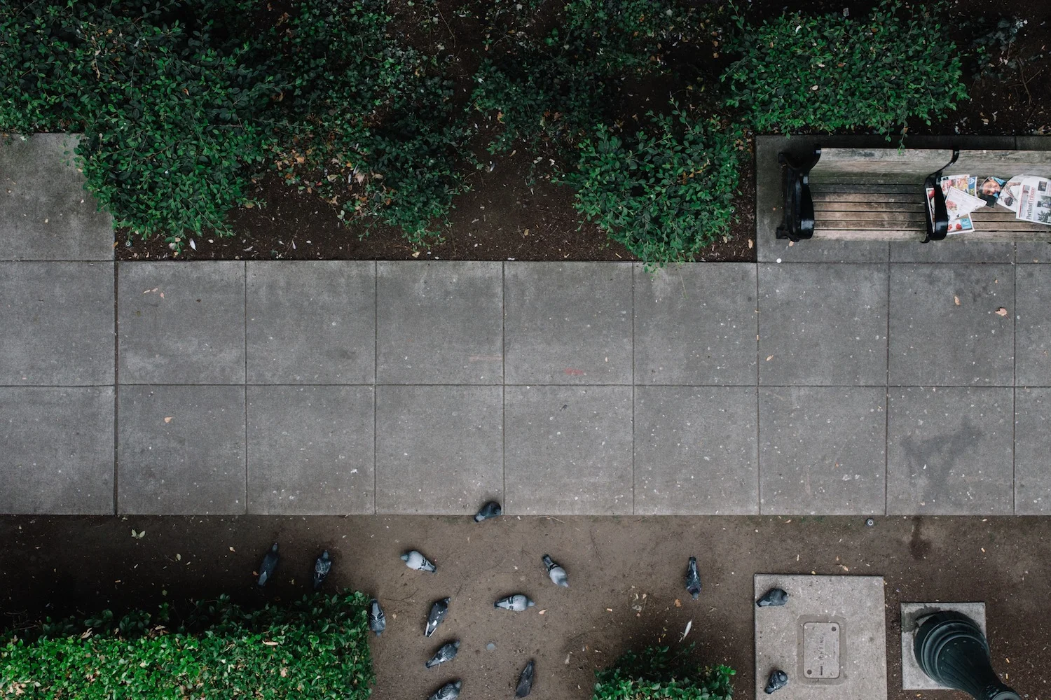 portland_sidewalk_small.jpg