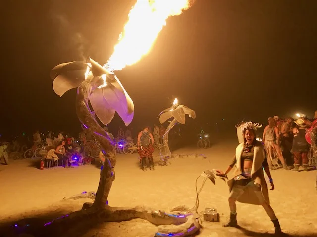 Playing with FIRE
