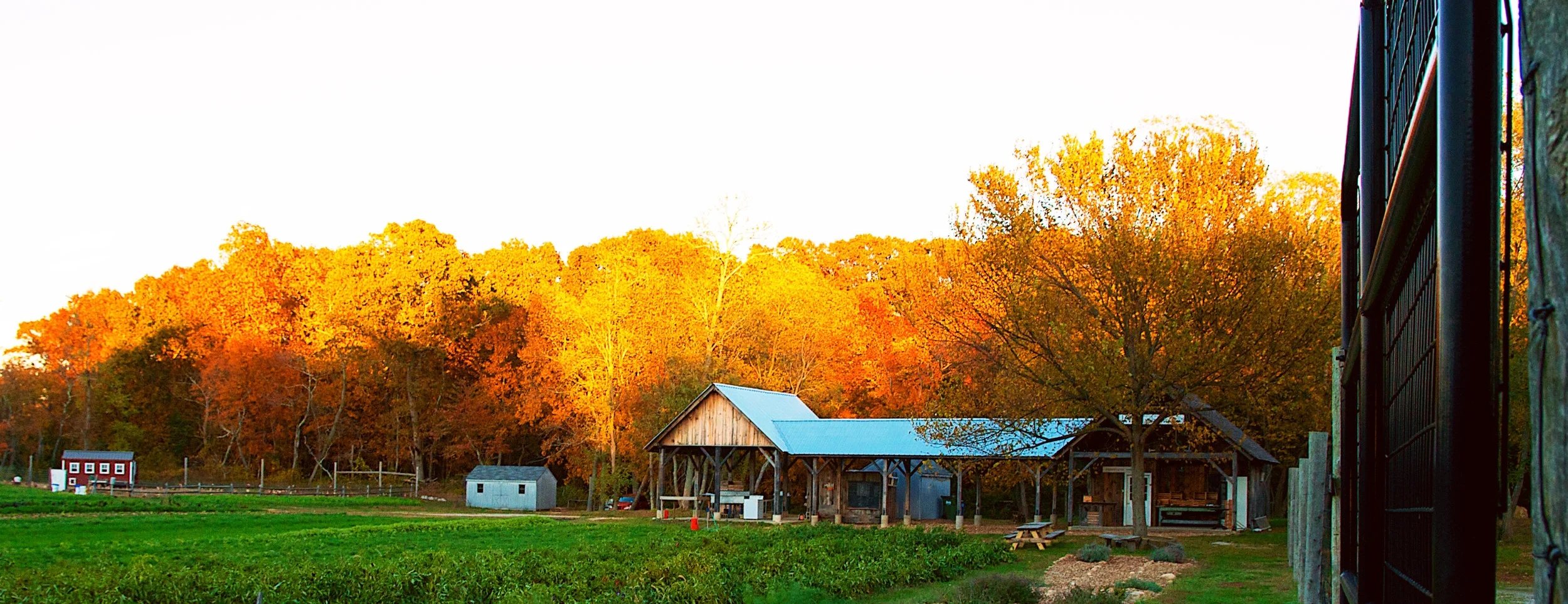 Farmstand4.jpg