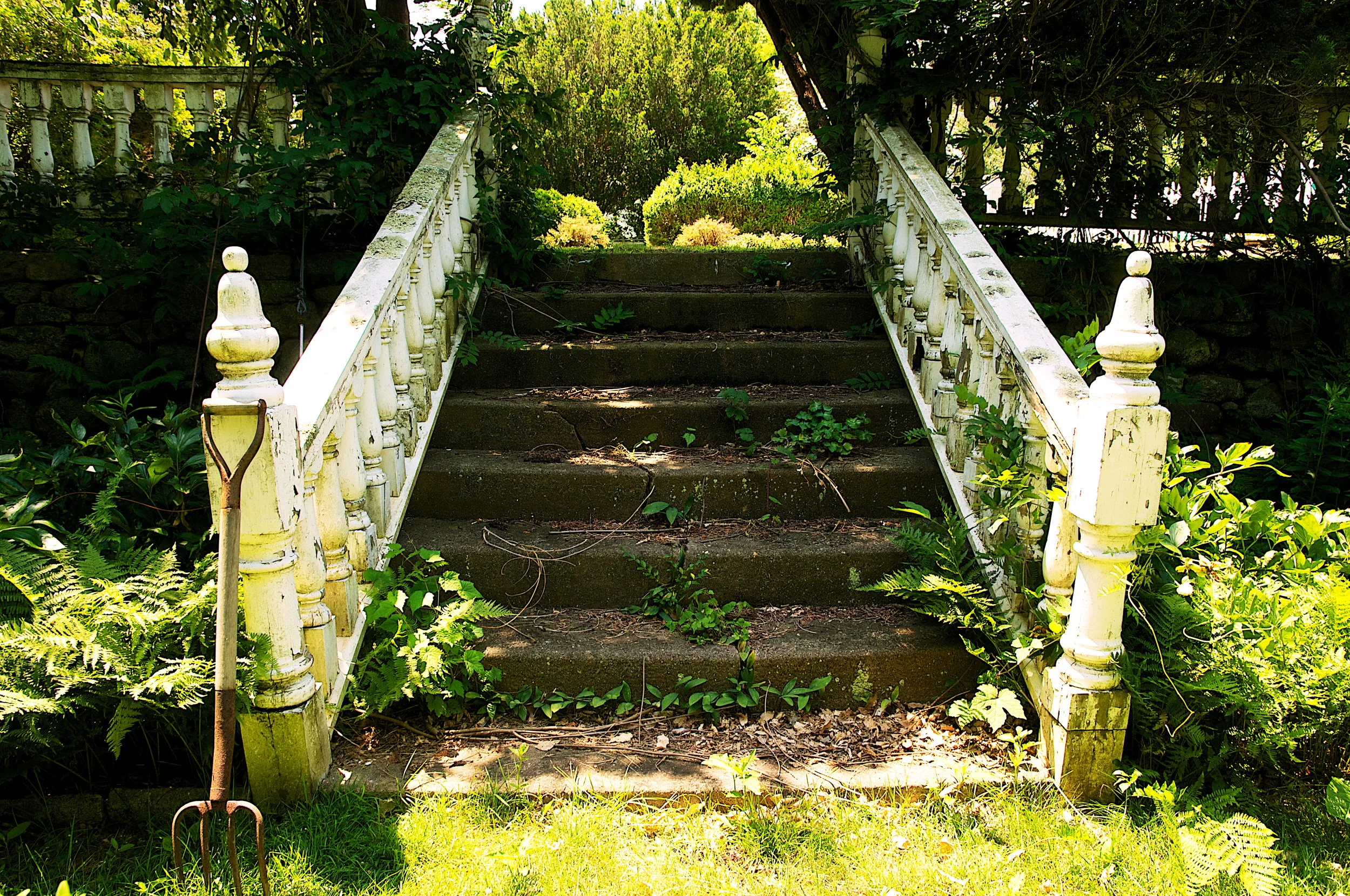 Garden1.jpg