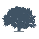 tree.png