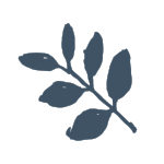 leaf.png