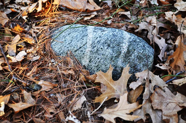 AMBROSE CLANCY PHOTO A stone in the Manor burying ground, marking a grave.