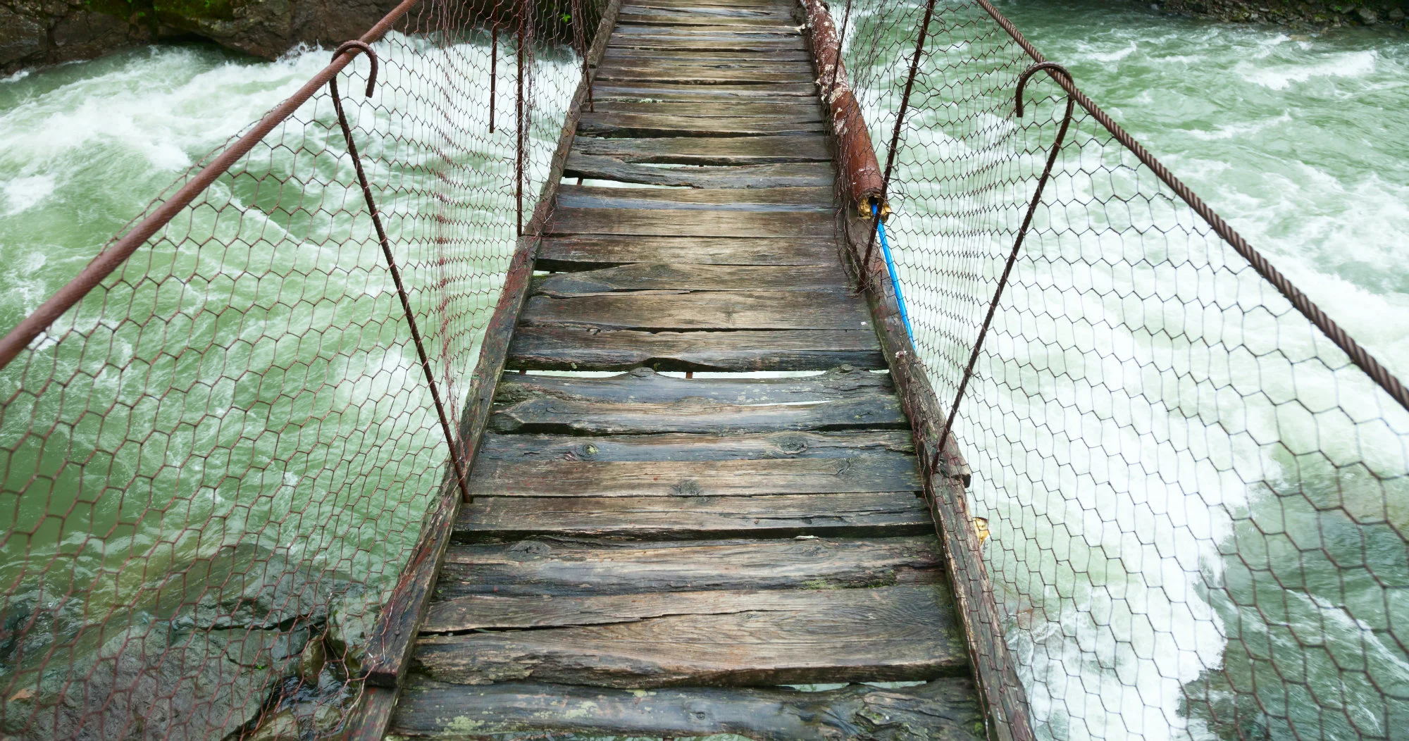 What Would Jesus Really Do?