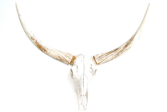 Resin Cow Skull
