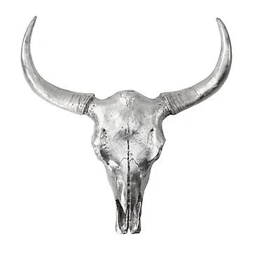 Z Gallarie Cow skull