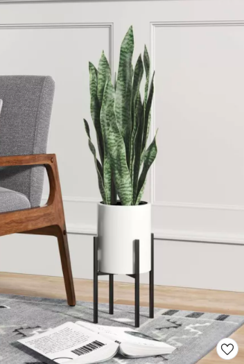 House Plant (36" X 10")