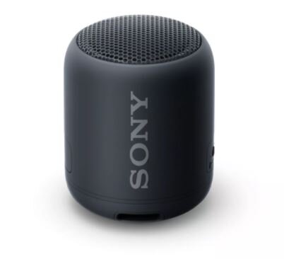 Sony XB12 Portable- $60
