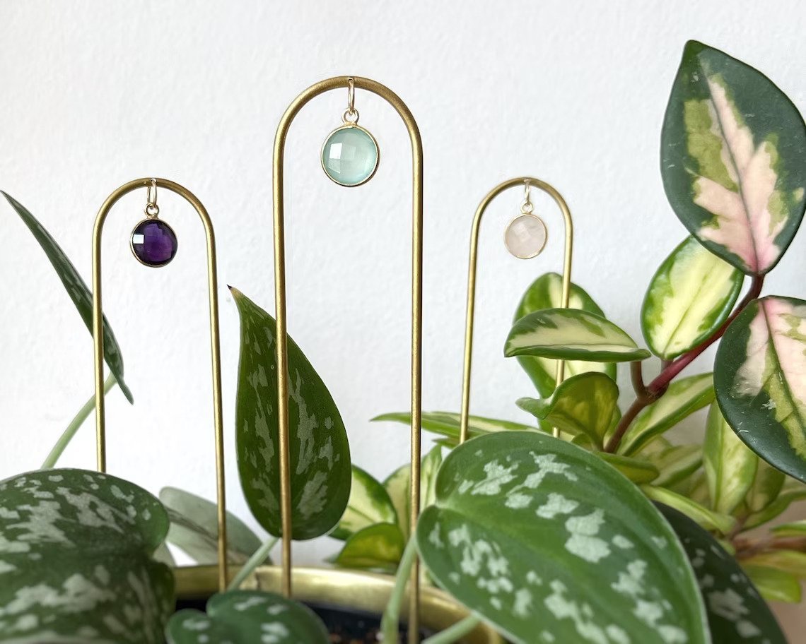 Plant jewels