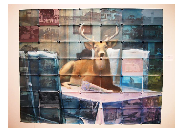 ‘Deer (Blue)’ 2007 © Randy Hayes. Oil on Photographs, Pushpins, Unique. 56” x 70”