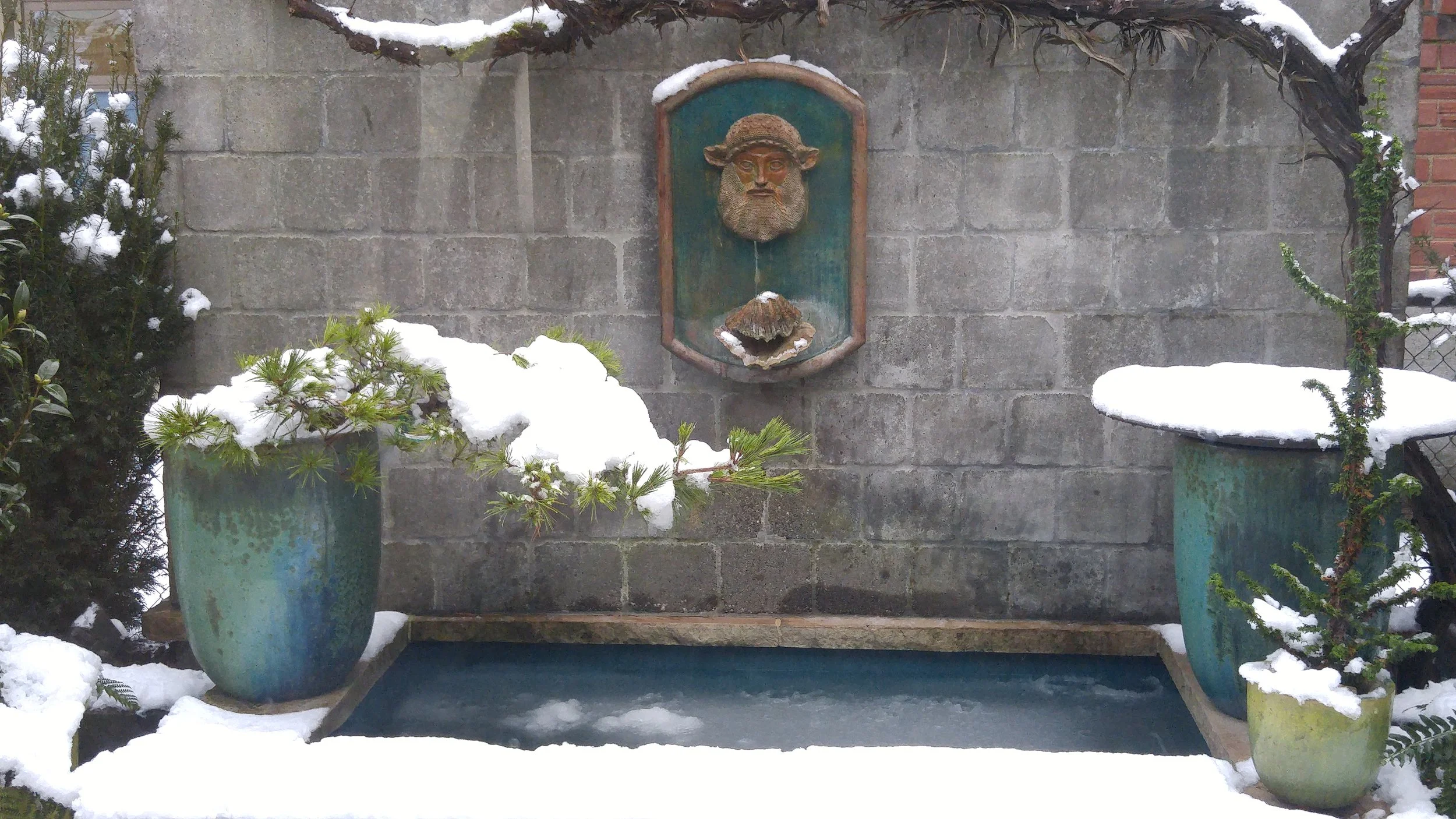 Winter in the Pacific Northwest Garden