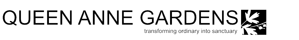 QAG BANNER 11.png